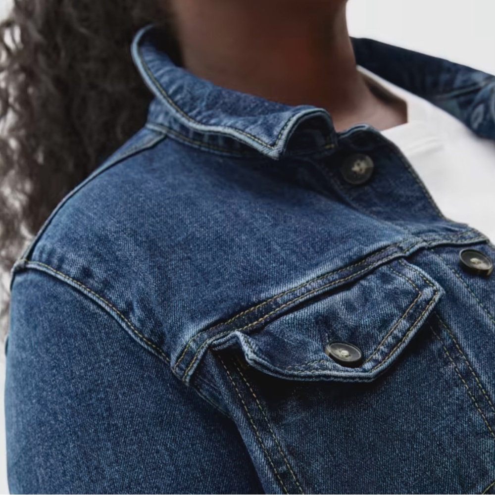 Everlane jean jacket
